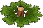 Tree Trunk
