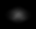 Fog