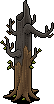 Burnt tree