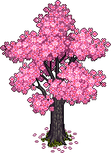 Cherry Tree