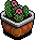 Potted Cactus 2