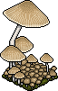 Eco Mushroom 1