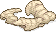 Snake skin