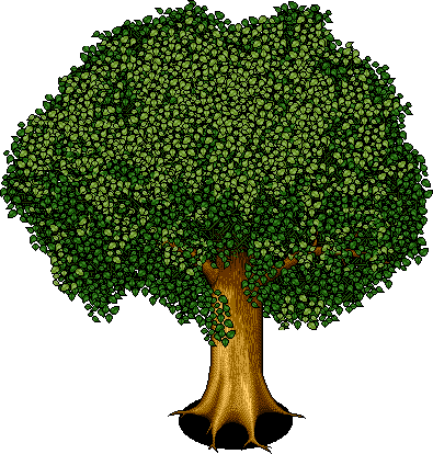 lidotree1 name