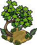 Turtle Tree