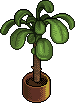 theatre_plant name
