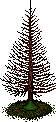 Old Christmas Tree