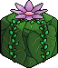 Mystery Leaf Gift