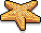 Star Fish