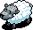 Sally the Sheep