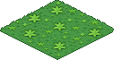 Bunny Run Field