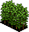Bush Divider