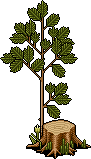 Tree Stool 2