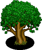 Friendship Tree