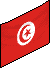 The Tunisian Flag