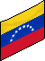 The Venezuelan Flag