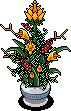 Vase of Flowers
