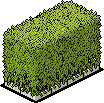 Maze Shrubbery