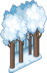 Snow Forest Wall