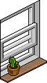 Basic Window