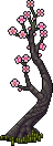 Chinese Blossom Tree