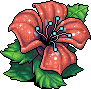 Red Flower