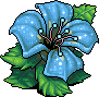 Blue Flower