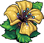 Yellow Flower