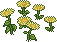 Yellow Delight