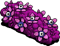 Weird Staring Bush