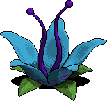 Volcano Flower