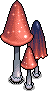 Coraline Mushrooms