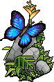 Exotic Butterfly