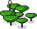 Garden Leaves