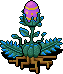 Egg Plant