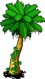 Palm Tree