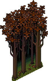 Haunted Forest