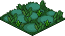 Swamp Patch
