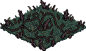 Thorny grass