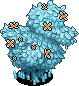 Icy duck shrub