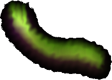 Aurora Borealis