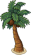 Christmas Palm
