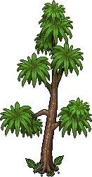 Not so tall tree