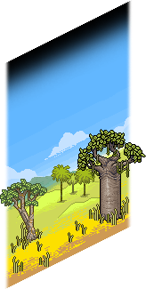 Savannah landscape