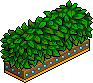 Hedge Divider