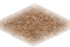 Dirt Floor