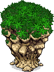 Grassy Stack