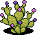 Flowered Cactus