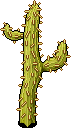 Spiky Cactus