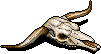 Longhorn Skull
